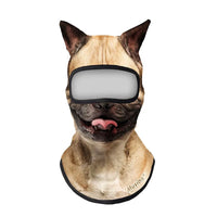Pug