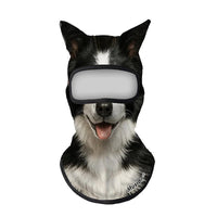 Tuxedo Dog